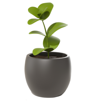 Lipoglaucin adipe e cellulite